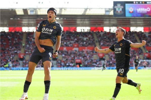 موعد مباراة ولفرهامبتون ونيوكاسل في الدوري الإنجليزي مباراة ولفرهامبتون ونيوكاسل